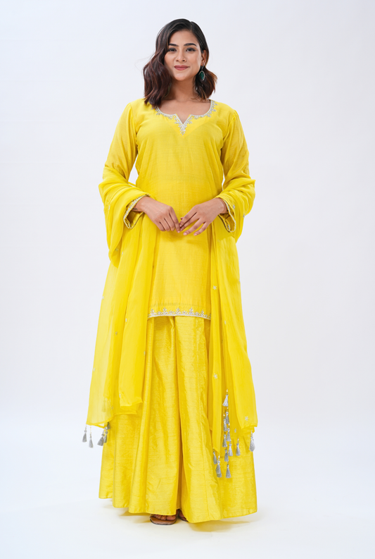 Sunlit Radiance Sharara Set