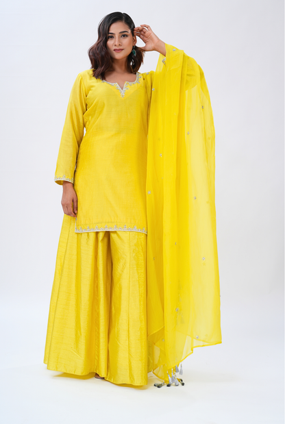 Sunlit Radiance Sharara Set